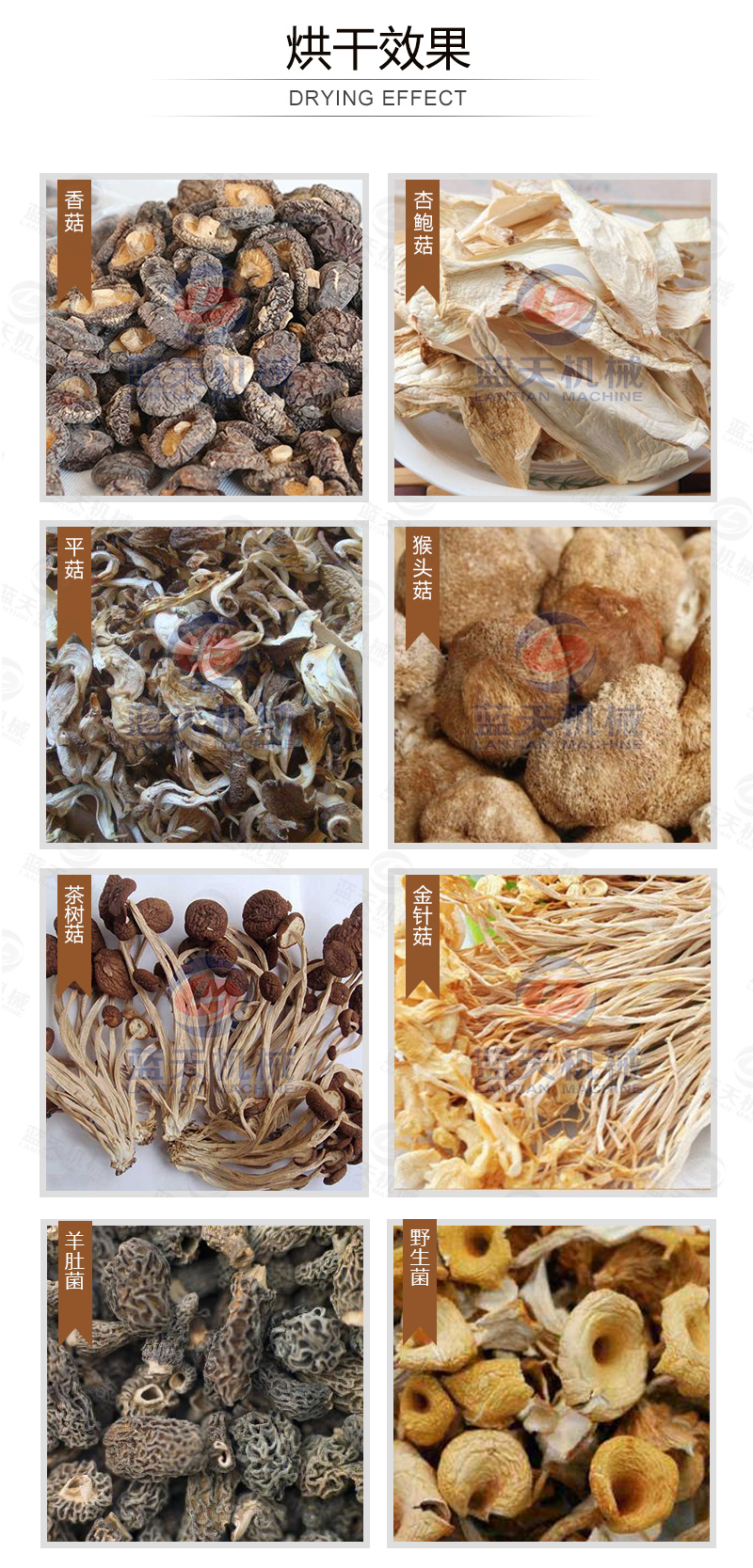 威廉希尔·williamhill(中国)中文官网