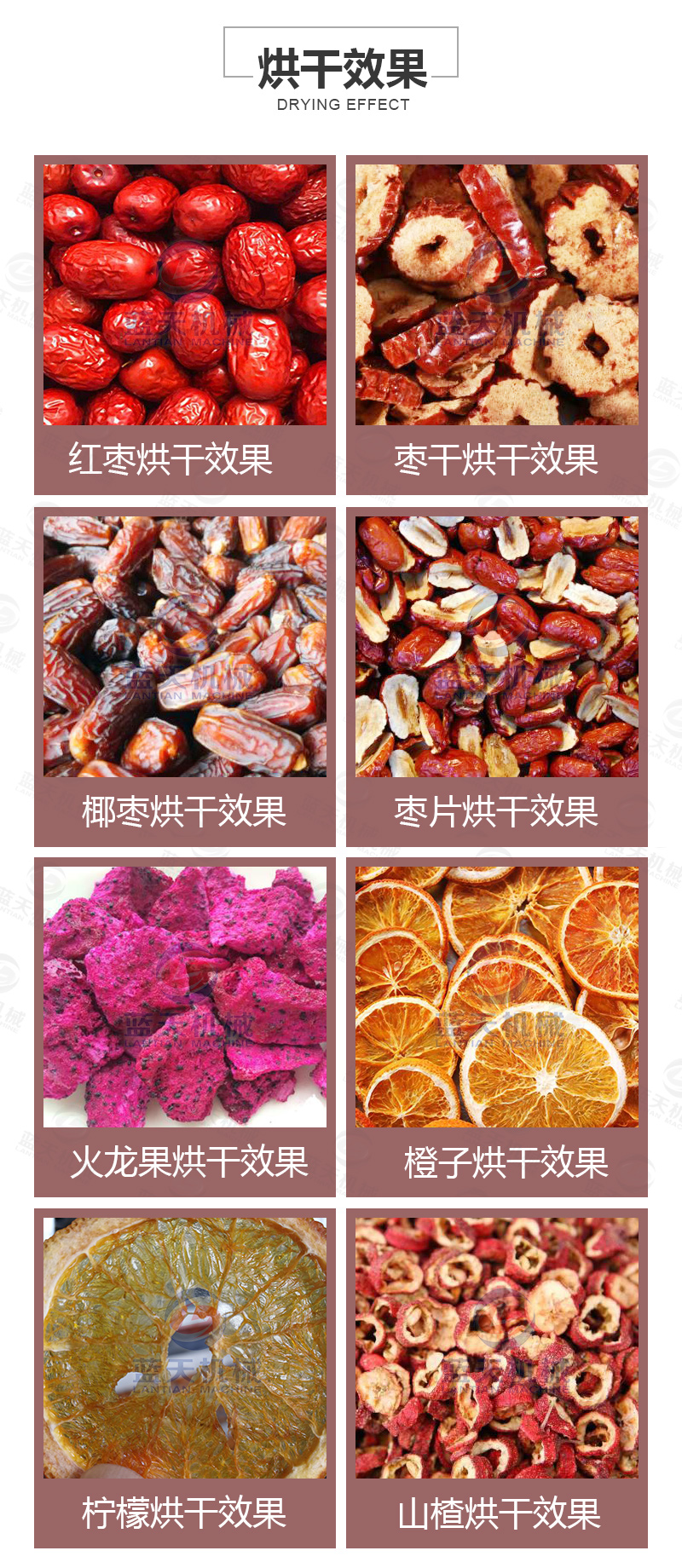 威廉希尔·williamhill(中国)中文官网