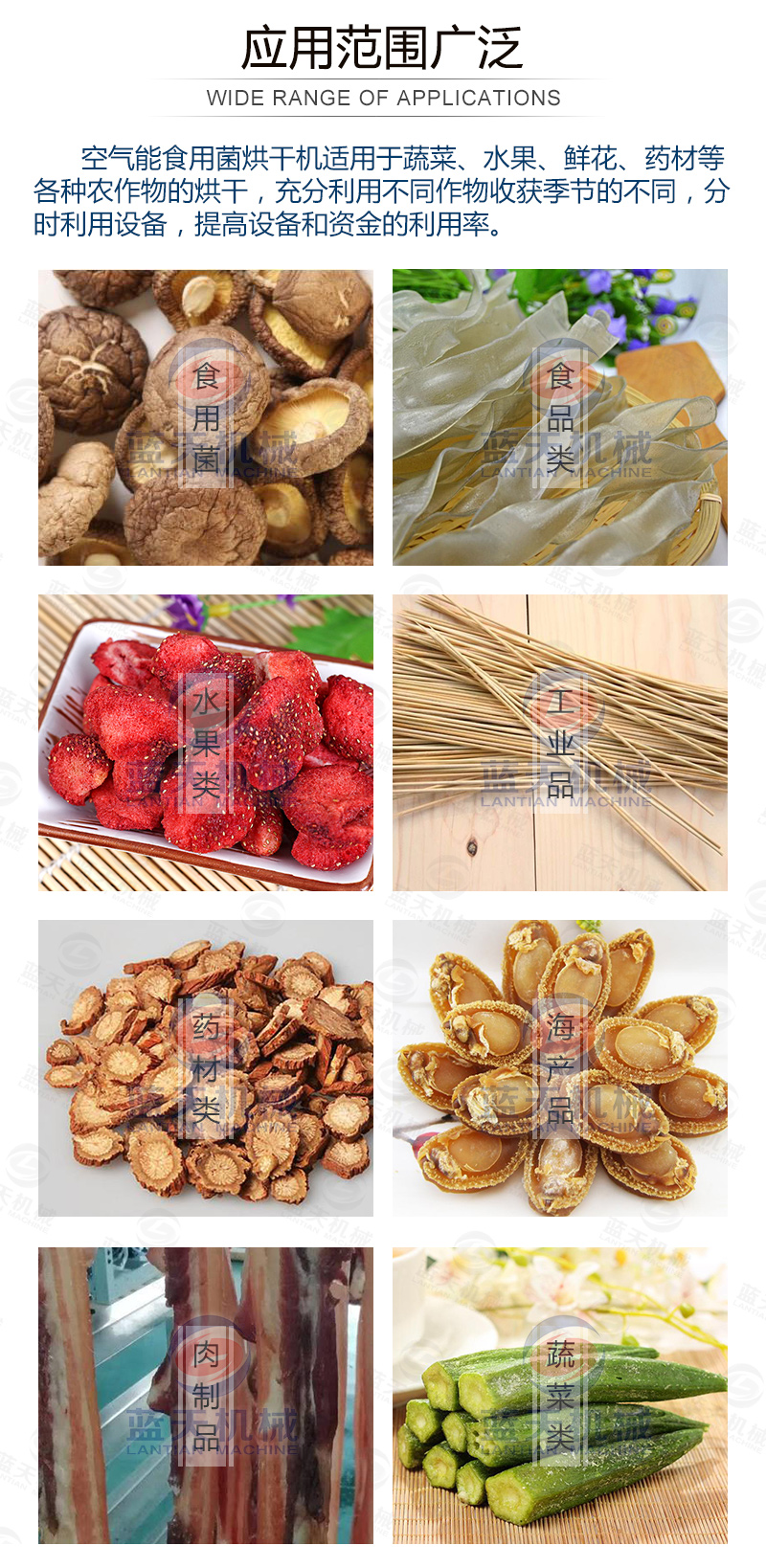 威廉希尔·williamhill(中国)中文官网