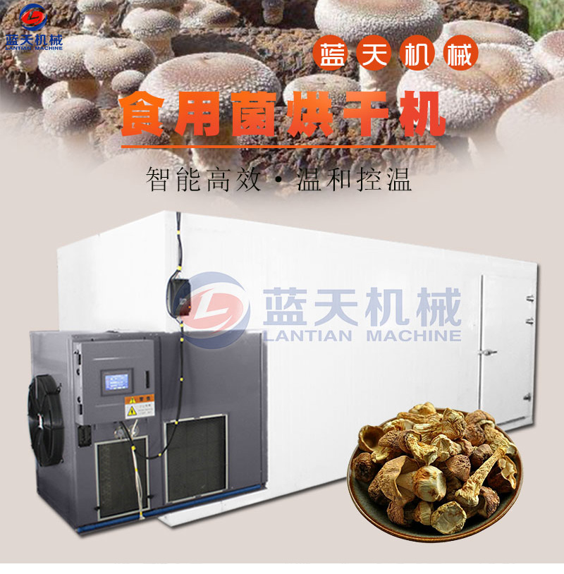 威廉希尔·williamhill(中国)中文官网