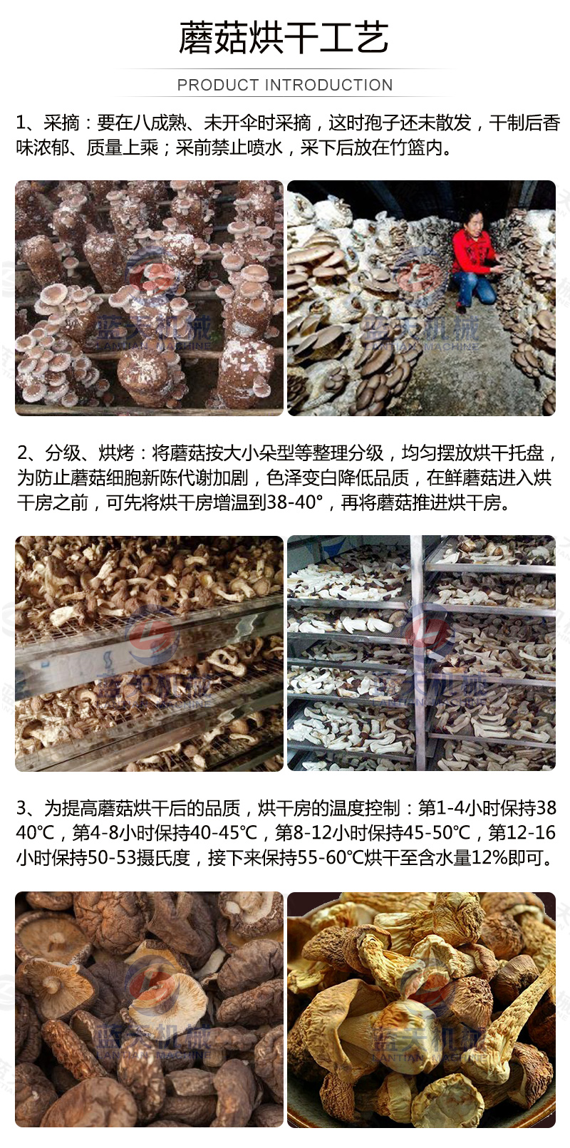 威廉希尔·williamhill(中国)中文官网