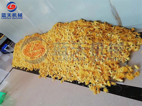 威廉希尔·williamhill(中国)中文官网