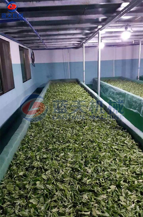 威廉希尔·williamhill(中国)中文官网