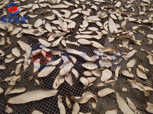 威廉希尔·williamhill(中国)中文官网