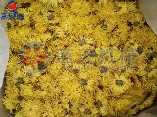 威廉希尔·williamhill(中国)中文官网